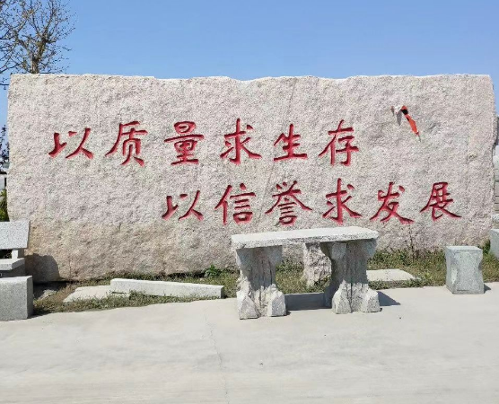 公司简介